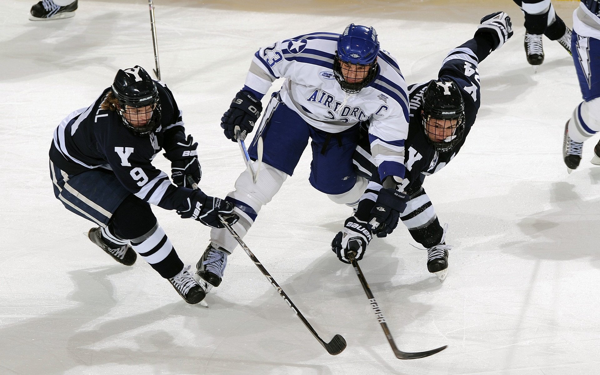 爱游戏电脑版官网-哥伦比亚马术协会出版“Sinjska Alka”历史专著，记录赛事发展历程。